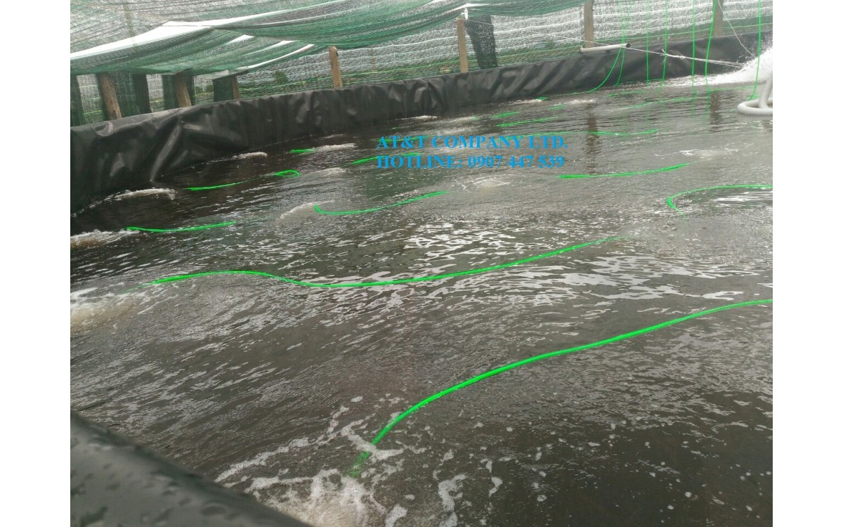Tầm quan trọng của hệ thống oxy đ&aacute;y